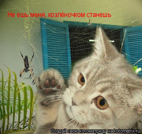 Котоматрица: Не ешь меня  Не ешь меня, козлёночком станешь