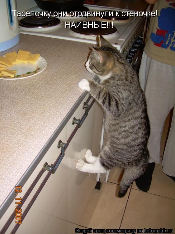 Котоматрица: Тарелочку они отодвинули к стеночке! НАИВНЫЕ!!!