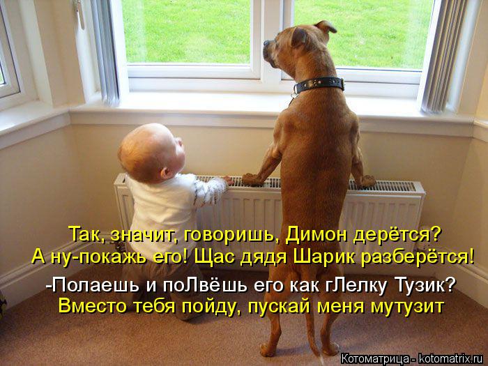 Так, значит, говоришь, Димон дерётся? А ну-покажь его! Щас дядя Шарик разберётся! -Полаешь и поЛвёшь ... Котоматрица: Так, значит, говоришь, Димон дерётся? А ну-покажь его! Щас дядя Шарик разберётся! -Полаешь и поЛвёшь его как гЛелку Тузик? Вместо тебя пойду, п