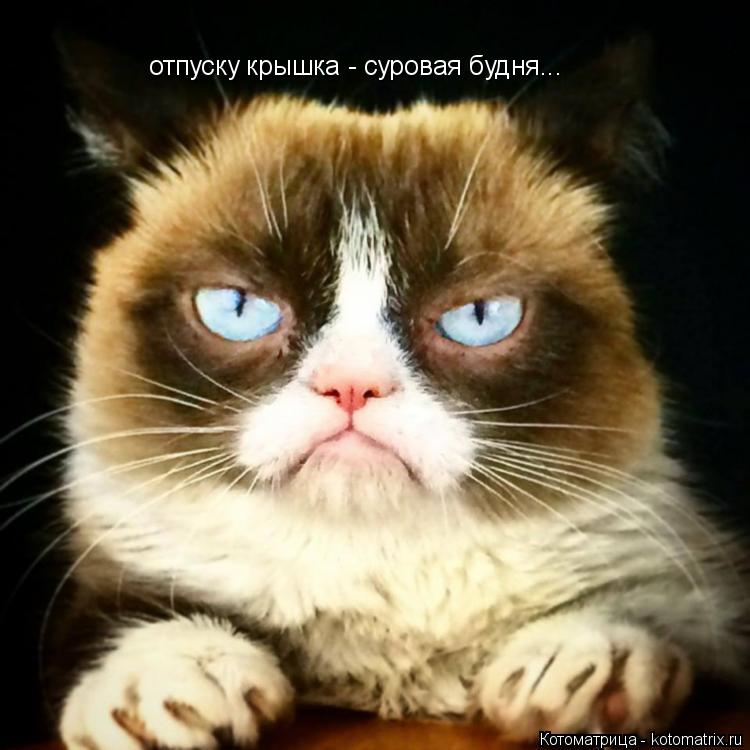 Котоматрица: отпуску крышка - суровая будня...