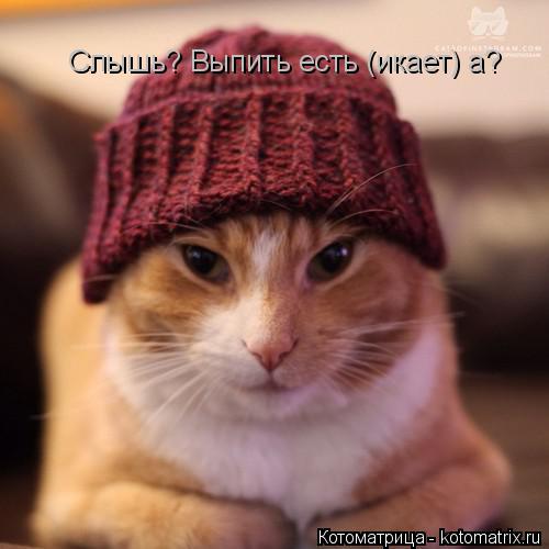 Слышь? Выпить есть (икает) а?... Котоматрица: Слышь? Выпить есть (икает) а?