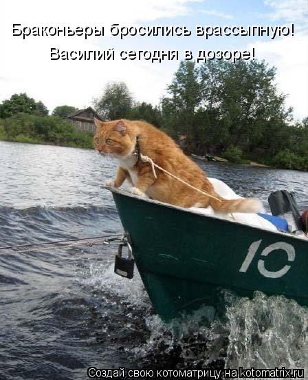 Браконьеры бросились врассыпную! Василий сегодня в дозоре!... Котоматрица: Браконьеры бросились врассыпную! Василий сегодня в дозоре!