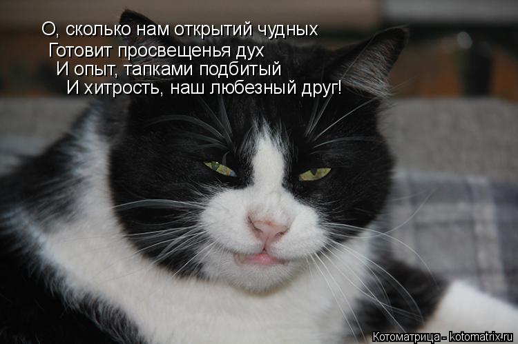 О, сколько нам открытий чудных Готовит просвещенья дух И опыт, тапками подбитый И хитрость, наш любез... Котоматрица: О, сколько нам открытий чудных Готовит просвещенья дух И опыт, тапками подбитый И хитрость, наш любезный друг!