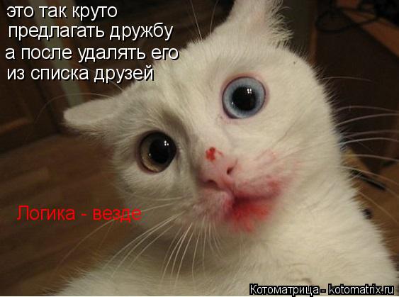 это так круто предлагать дружбу а после удалять его из списка друзей Логика - везде... Котоматрица: это так круто предлагать дружбу а после удалять его из списка друзей Логика - везде
