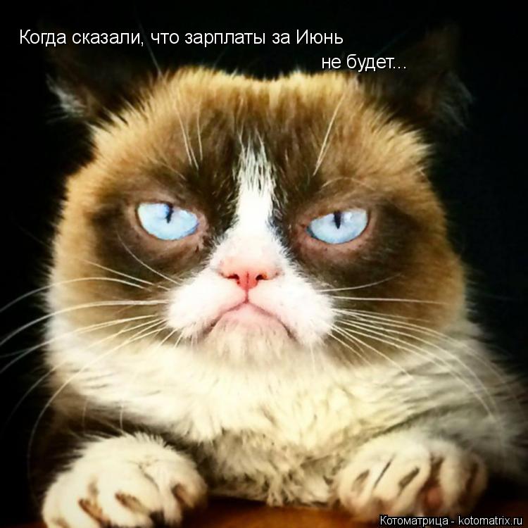 Когда сказали, что зарплаты за Июнь не будет...... Котоматрица: Когда сказали, что зарплаты за Июнь не будет...