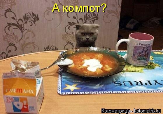 Котоматрица: А компот?