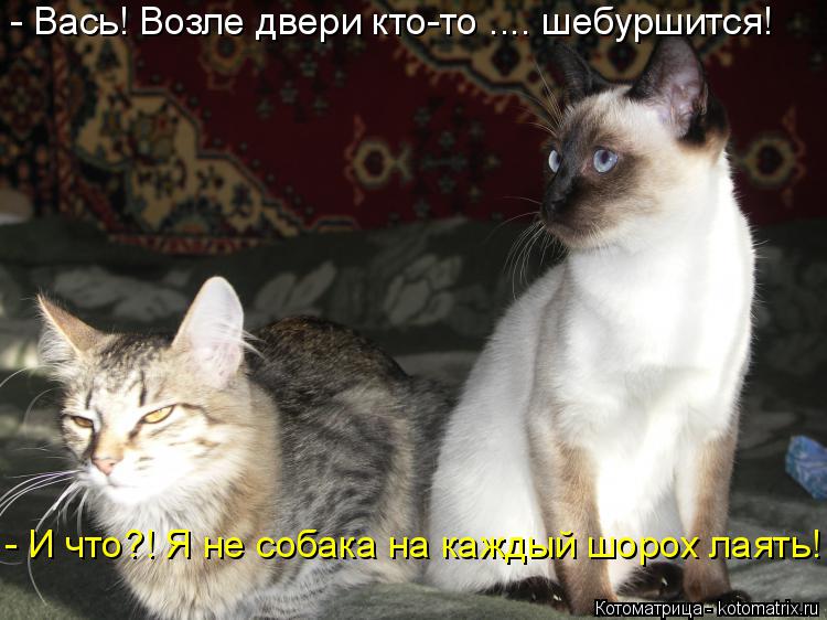 Котоматрица: - Вась! Возле двери кто-то .... шебуршится! - И что?! Я не собака на каждый шорох лаять!