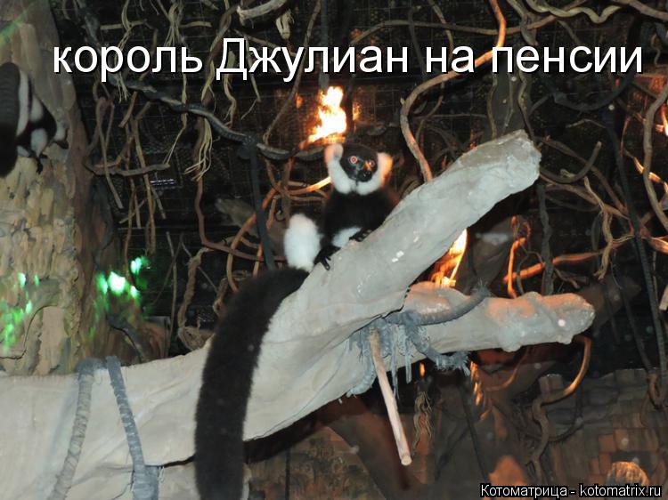 король Джулиан на пенсии... Котоматрица: король Джулиан на пенсии