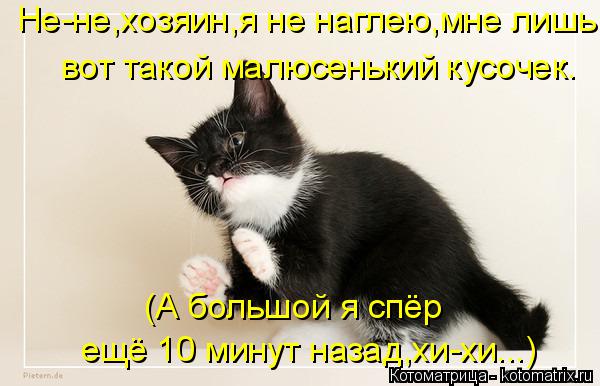 вот такой малюсенький кусочек. Не-не,хозяин,я не наглею,мне лишь (А большой я спёр ещё 10 минут назад... Котоматрица: вот такой малюсенький кусочек. Не-не,хозяин,я не наглею,мне лишь (А большой я спёр ещё 10 минут назад,хи-хи...)