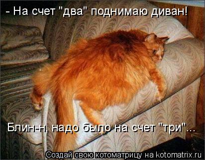 - На счет "два" поднимаю диван! Блин-н, надо было на счет "три"...... Котоматрица: - На счет "два" поднимаю диван! Блин-н, надо было на счет "три"...