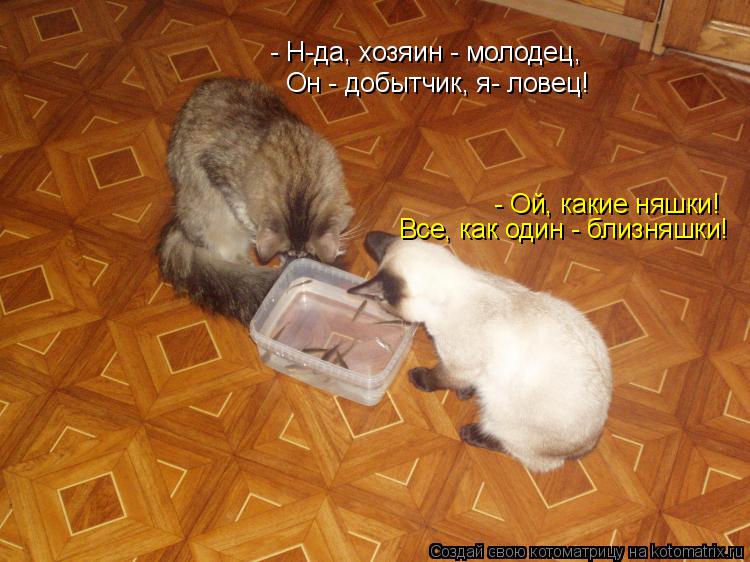 - Н-да, хозяин - молодец, Он - добытчик, я- ловец! - Ой, какие няшки! Все, как один - близняшки!... Котоматрица: - Н-да, хозяин - молодец, Он - добытчик, я- ловец! - Ой, какие няшки! Все, как один - близняшки!