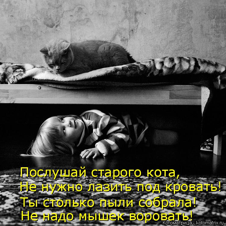 Послушай старого кота, Не нужно лазить под кровать! Ты столько пыли собрала! Не надо мышек воровать!... Котоматрица: Послушай старого кота, Не нужно лазить под кровать! Ты столько пыли собрала! Не надо мышек воровать!