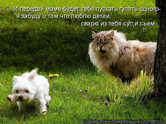 И передай маме-будет тебя пускать гулять одного- я забуду о том,что люблю детей, сварю из тебя суп,и ... Котоматрица: И передай маме-будет тебя пускать гулять одного- я забуду о том,что люблю детей, сварю из тебя суп,и съем.