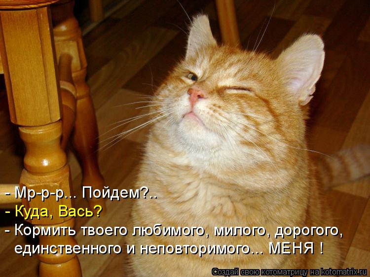 Котоматрица: - Мр-р-р... Пойдем?.. - Куда, Вась? - Кормить твоего любимого, милого, дорогого, единственного и неповторимого... МЕНЯ !