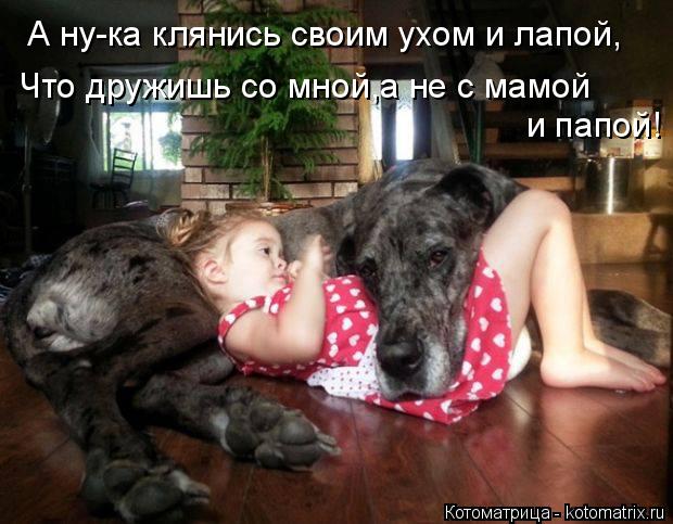 А ну-ка клянись своим ухом и лапой, Что дружишь со мной,а не с мамой и папой!... Котоматрица: А ну-ка клянись своим ухом и лапой, Что дружишь со мной,а не с мамой и папой!