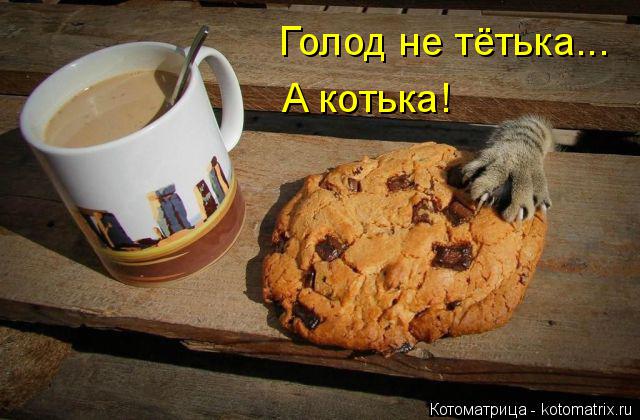 Котоматрица: А котька! Голод не тётька...