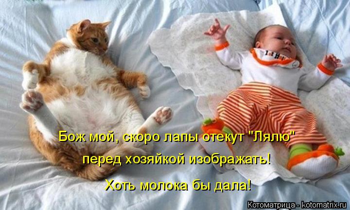 Бож мой, скоро лапы отекут "Лялю" перед хозяйкой изображать! Хоть молока бы дала!... Котоматрица: Бож мой, скоро лапы отекут "Лялю" перед хозяйкой изображать! Хоть молока бы дала!