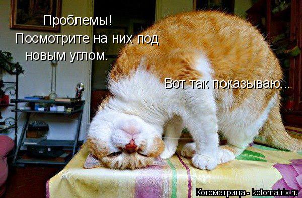 Проблемы! Посмотрите на них под новым углом. Вот так показываю...... Котоматрица: Проблемы! Посмотрите на них под новым углом. Вот так показываю...