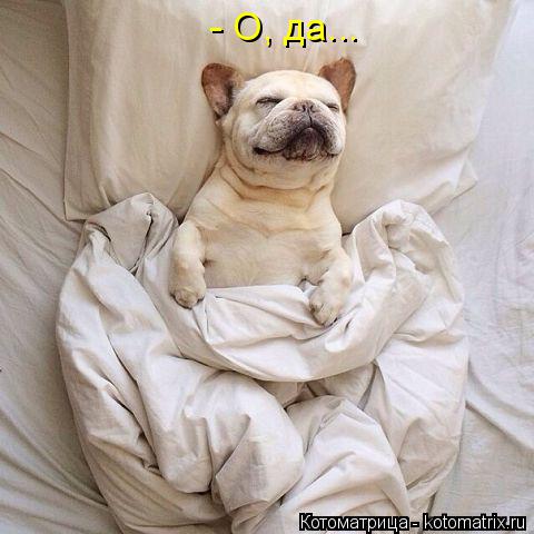 - О, да...... Котоматрица: - О, да...