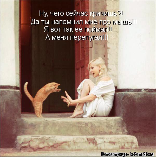 Да ты напомнил мне про мышь!!! Я вот так ее поймал!! Ну, чего сейчас кричишь?! А меня перепугал!!!... Котоматрица: Да ты напомнил мне про мышь!!! Я вот так ее поймал!! Ну, чего сейчас кричишь?! А меня перепугал!!!