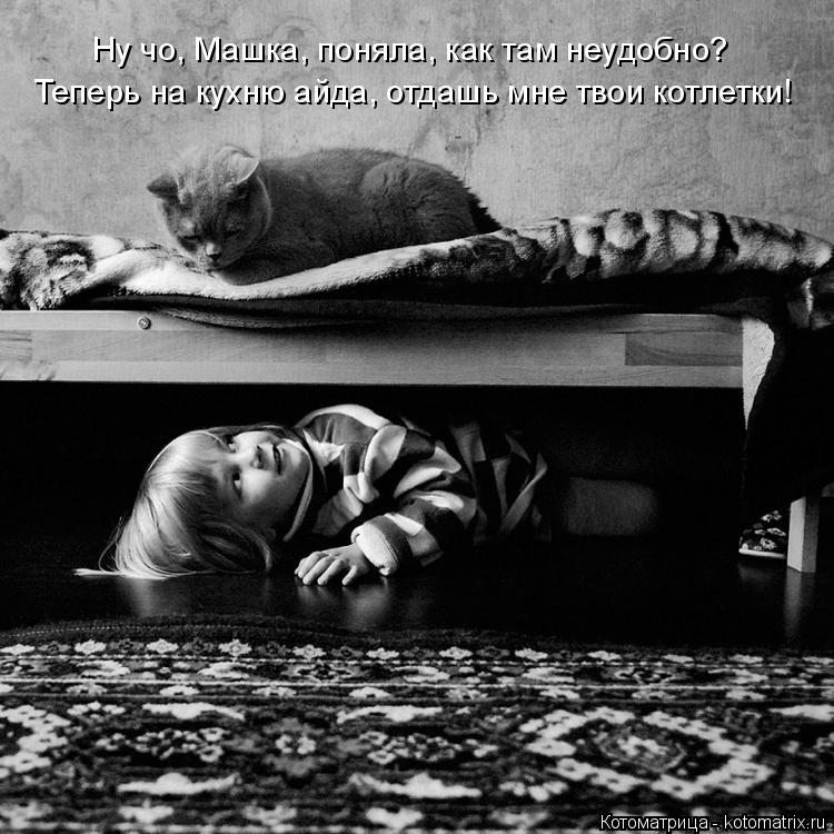 Котоматрица: Ну чо, Машка, поняла, как там неудобно? Теперь на кухню айда, отдашь мне твои котлетки!