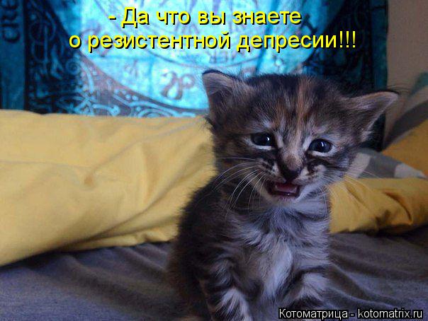 - Да что вы знаете о резистентной депресии!!!... Котоматрица: - Да что вы знаете о резистентной депресии!!!