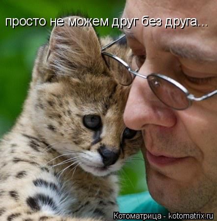 Котоматрица: просто не можем друг без друга...