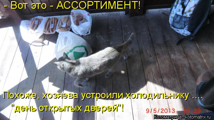 Котоматрица: - Вот это - АССОРТИМЕНТ! Похоже, хозяева устроили холодильнику .... "день открытых дверей"!