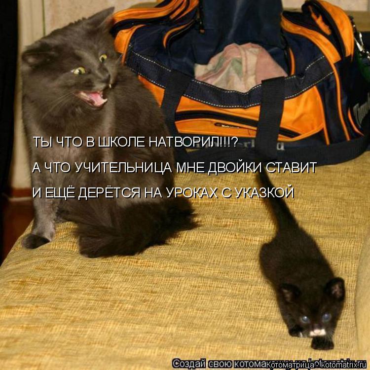 Котоматрица: ТЫ ЧТО В ШКОЛЕ НАТВОРИЛ!!!? А ЧТО УЧИТЕЛЬНИЦА МНЕ ДВОЙКИ СТАВИТ И ЕЩЁ ДЕРЁТСЯ НА УРОКАХ С УКАЗКОЙ