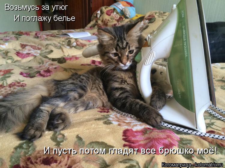 Возьмусь за утюг И поглажу белье И пусть потом гладят все брюшко моё!... Котоматрица: Возьмусь за утюг И поглажу белье И пусть потом гладят все брюшко моё!