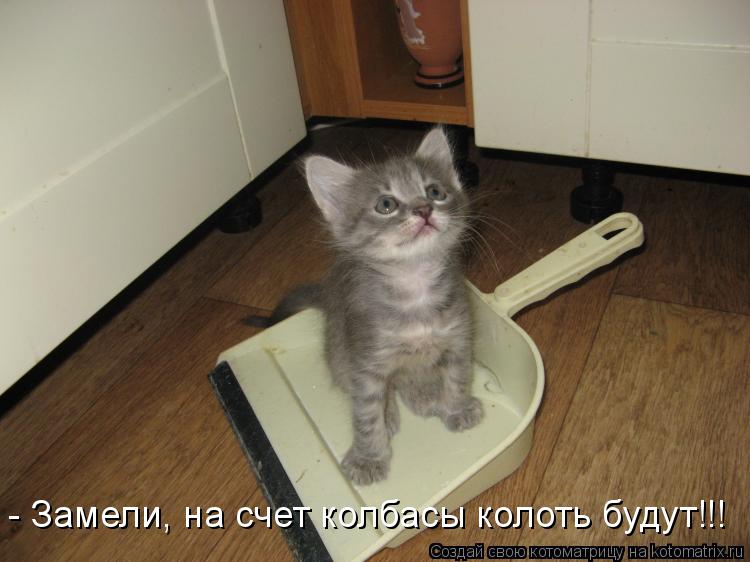 Котоматрица: - Замели, на счет колбасы колоть будут!!!