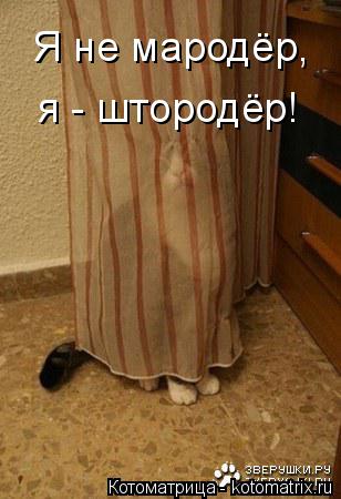 Я не мародёр, я - штородёр!... Котоматрица: Я не мародёр, я - штородёр!