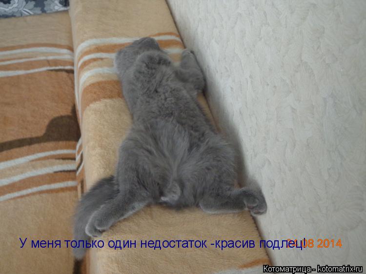 У меня только один недостаток -красив подлец!... Котоматрица: У меня только один недостаток -красив подлец!