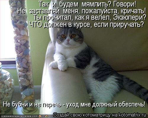 Котоматрица: Так  и  будем  мямлить? Говори! Ты прочитал, как я велел, Экзюпери? Не  заставляй  меня, пожалуйста, кричать! Не бубни и не перечь - уход мне долж