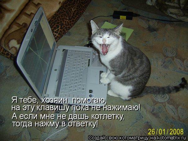 Я тебе, хозяин, помогаю, на эту клавишу пока не нажимаю! А если мне не дашь котлетку, тогда нажму в о... Котоматрица: Я тебе, хозяин, помогаю, на эту клавишу пока не нажимаю! А если мне не дашь котлетку, тогда нажму в ответку!
