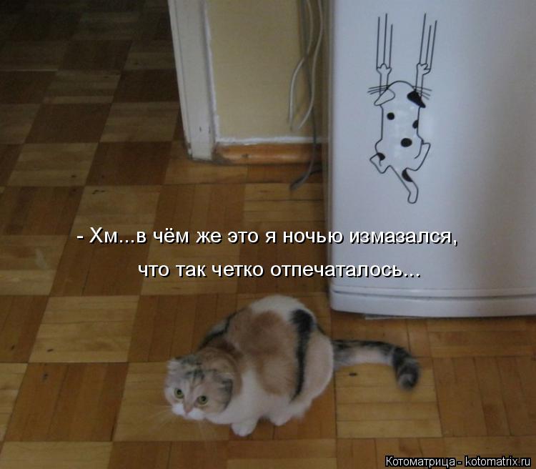 - Хм...в чём же это я ночью измазался, что так четко отпечаталось...... Котоматрица: - Хм...в чём же это я ночью измазался, что так четко отпечаталось...