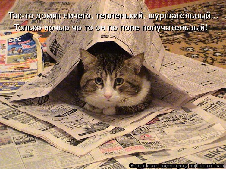 Так-то домик ничего, тепленький, шуршательный... Только ночью чо то он по попе получательный!... Котоматрица: Так-то домик ничего, тепленький, шуршательный... Только ночью чо то он по попе получательный!