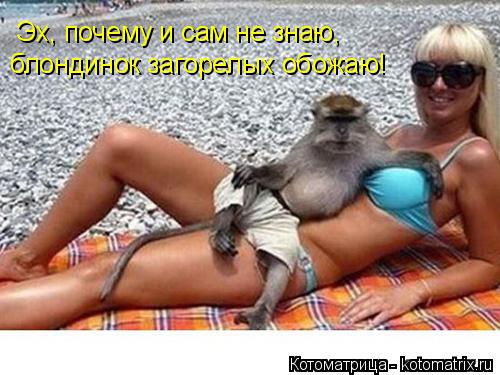 Эх, почему и сам не знаю, блондинок загорелых обожаю!... Котоматрица: Эх, почему и сам не знаю, блондинок загорелых обожаю!