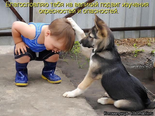 Благословляю тебя на великий подвиг изучения окресностей и опасностей.... Котоматрица: Благословляю тебя на великий подвиг изучения окресностей и опасностей.
