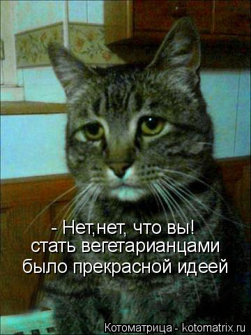 Котоматрица: - Нет,нет, что вы! стать вегетарианцами было прекрасной идеей