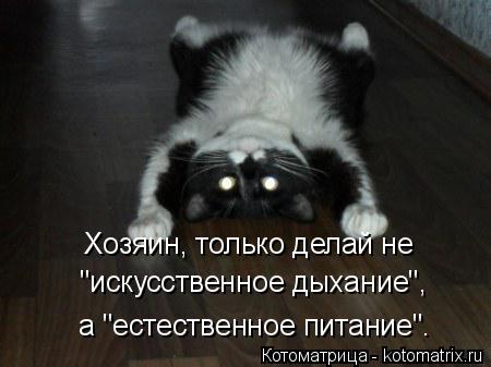 Котоматрица: Хозяин, только делай не "искусственное дыхание", а "естественное питание".