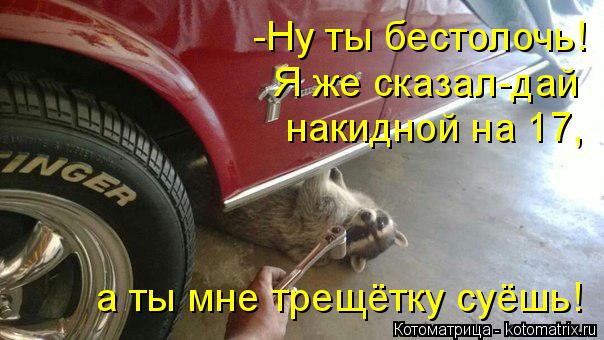 -Ну ты бестолочь! Я же сказал-дай накидной на 17, а ты мне трещётку суёшь!... Котоматрица: -Ну ты бестолочь! Я же сказал-дай накидной на 17, а ты мне трещётку суёшь!