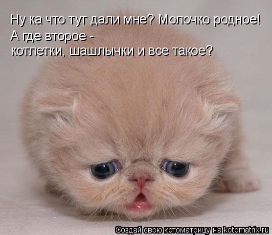 Ну ка что тут дали мне? Молочко родное! А где второе - котлетки, шашлычки и все такое?... Котоматрица: Ну ка что тут дали мне? Молочко родное! А где второе - котлетки, шашлычки и все такое?