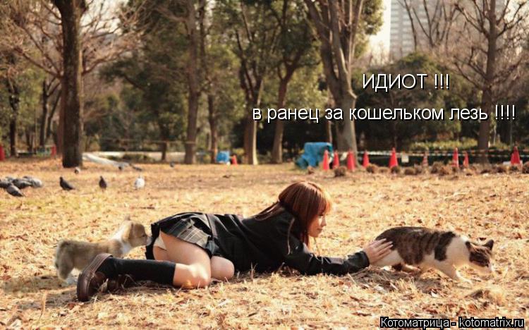ИДИОТ !!! в ранец за кошельком лезь !!!!... Котоматрица: ИДИОТ !!! в ранец за кошельком лезь !!!!