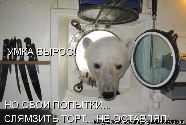 Котоматрица: УМКА ВЫРОС!  НО СВОИ ПОПЫТКИ... СЛЯМЗИТЬ ТОРТ... НЕ ОСТАВЛЯЛ!