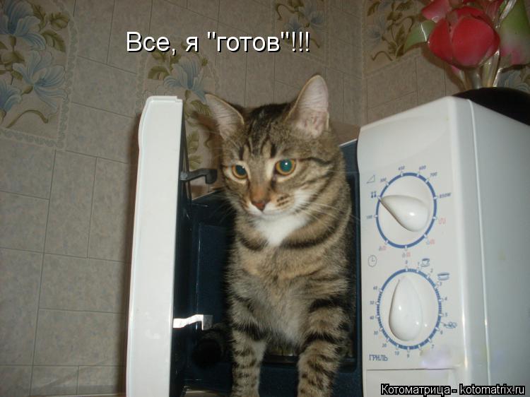 Все, я "готов"!!!... Котоматрица: Все, я "готов"!!!