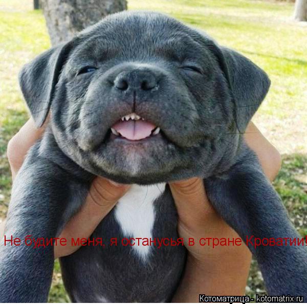 Не будите меня, я останусья в стране Кроватии!... Котоматрица: Не будите меня, я останусья в стране Кроватии!