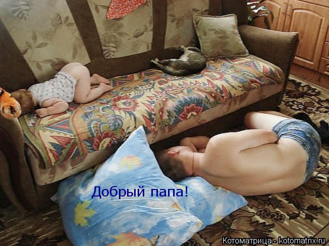 Котоматрица: Добрый папа!