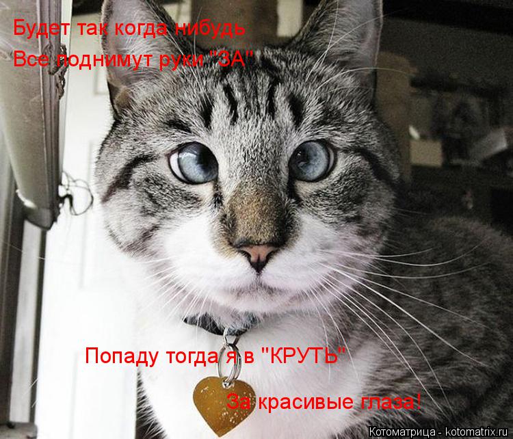 Будет так когда нибудь Все поднимут руки "ЗА" Попаду тогда я в "КРУТЬ" За красивые глаза!... Котоматрица: Будет так когда нибудь Все поднимут руки "ЗА" Попаду тогда я в "КРУТЬ" За красивые глаза!