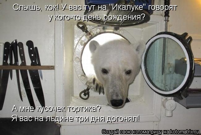 Котоматрица: Слышь, кок! У вас тут на "Икалуке" говорят у кого-то день рождения? А мне кусочек тортика? Я вас на льдине три дня догонял!
